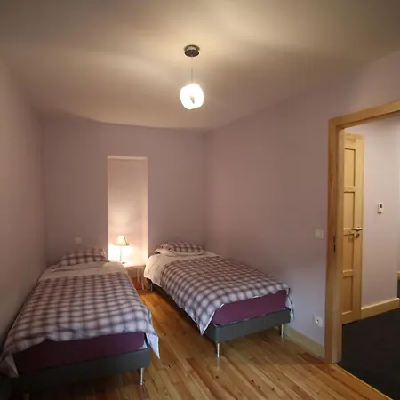 Confortable Au Centre Historique D'epinal - Fr-1-589-802 Feriehus *