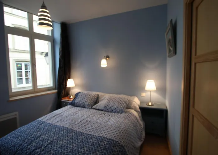 Confortable Au Centre Historique D'epinal - Fr-1-589-802 Dom wakacyjny Épinal